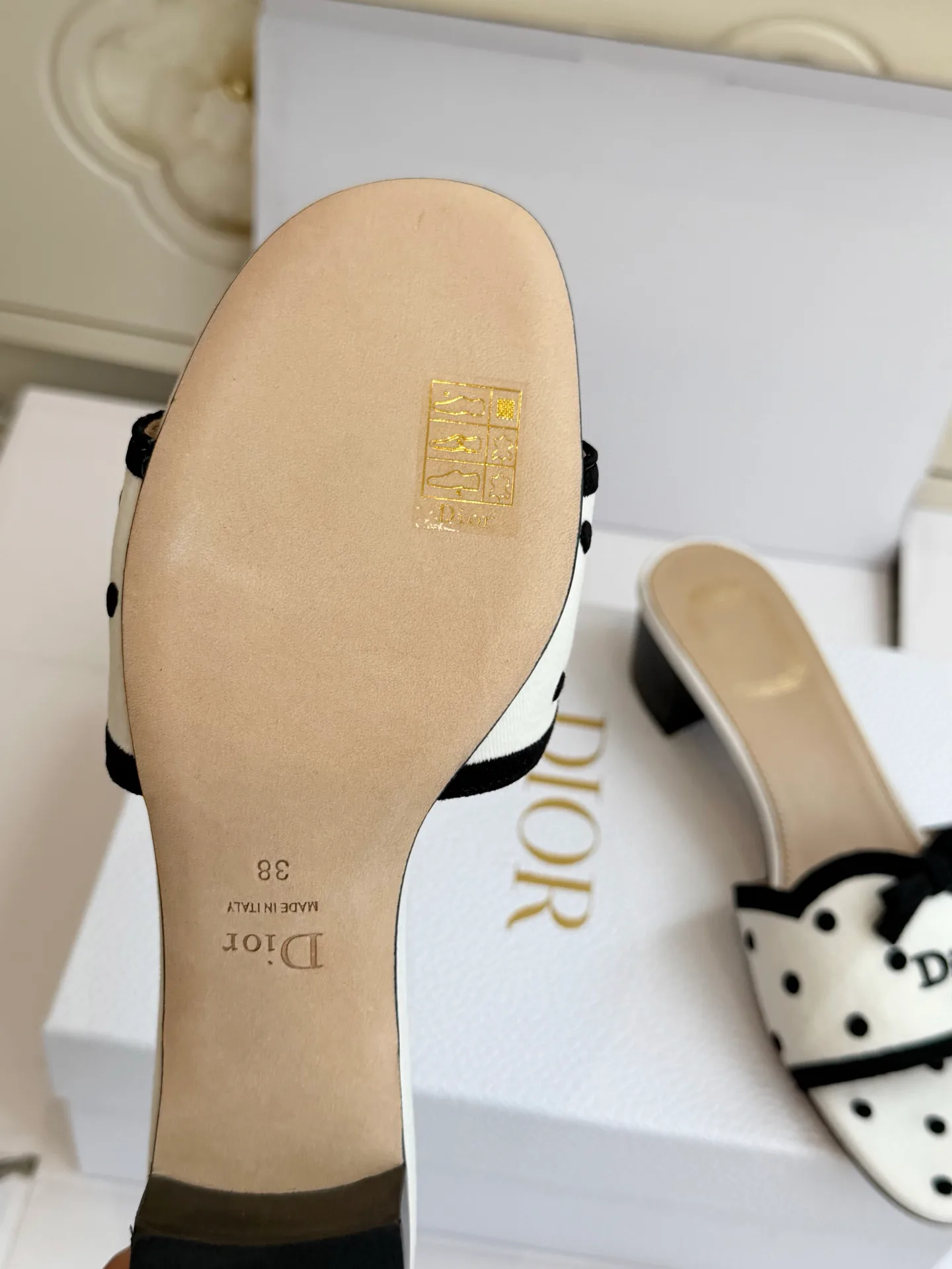 Women's Mules And Clogs CHRISTIAN DIOR 18261113