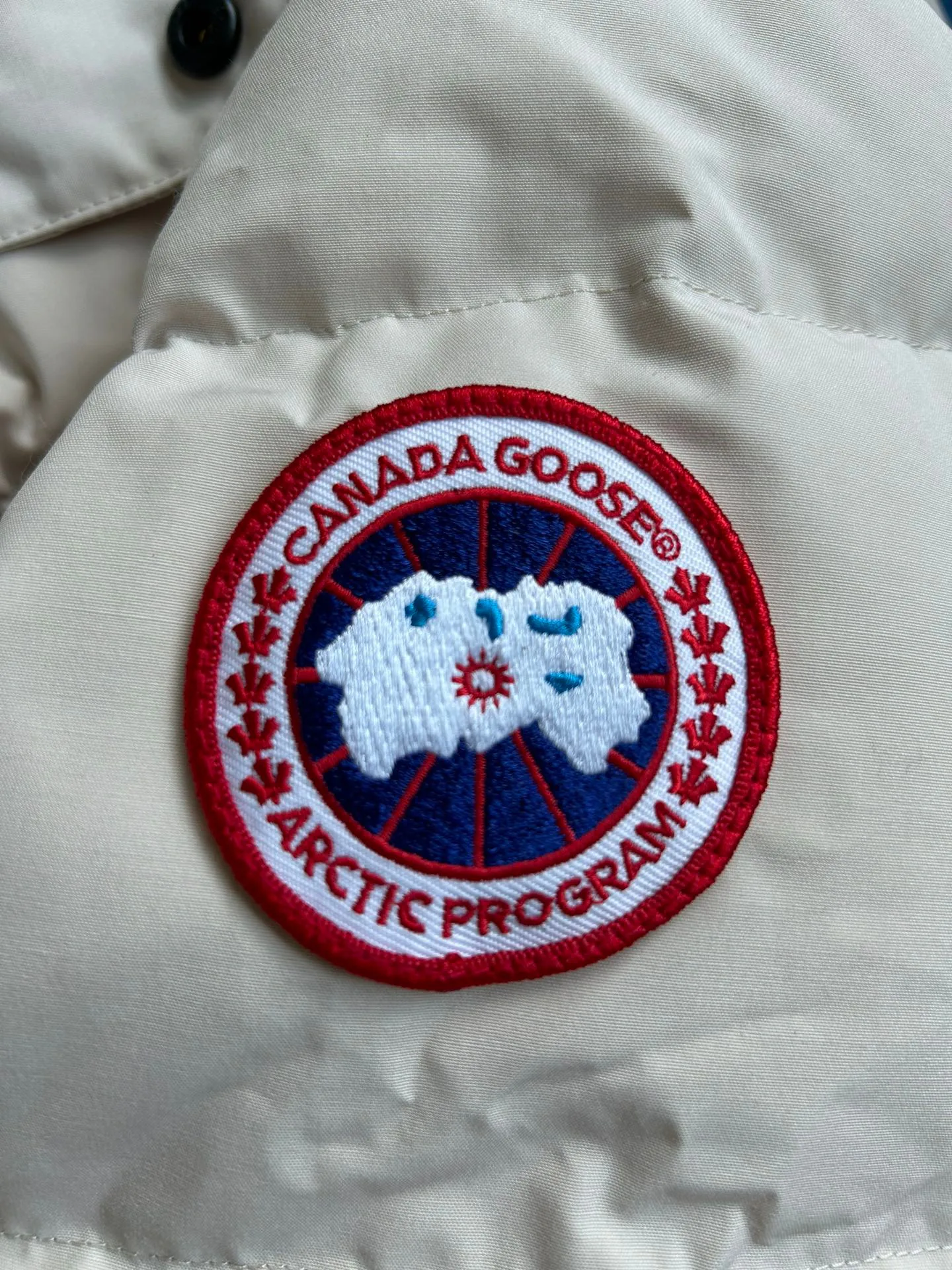 Men's Jackets And Down Jackets CANADA GOOSE 18111616
