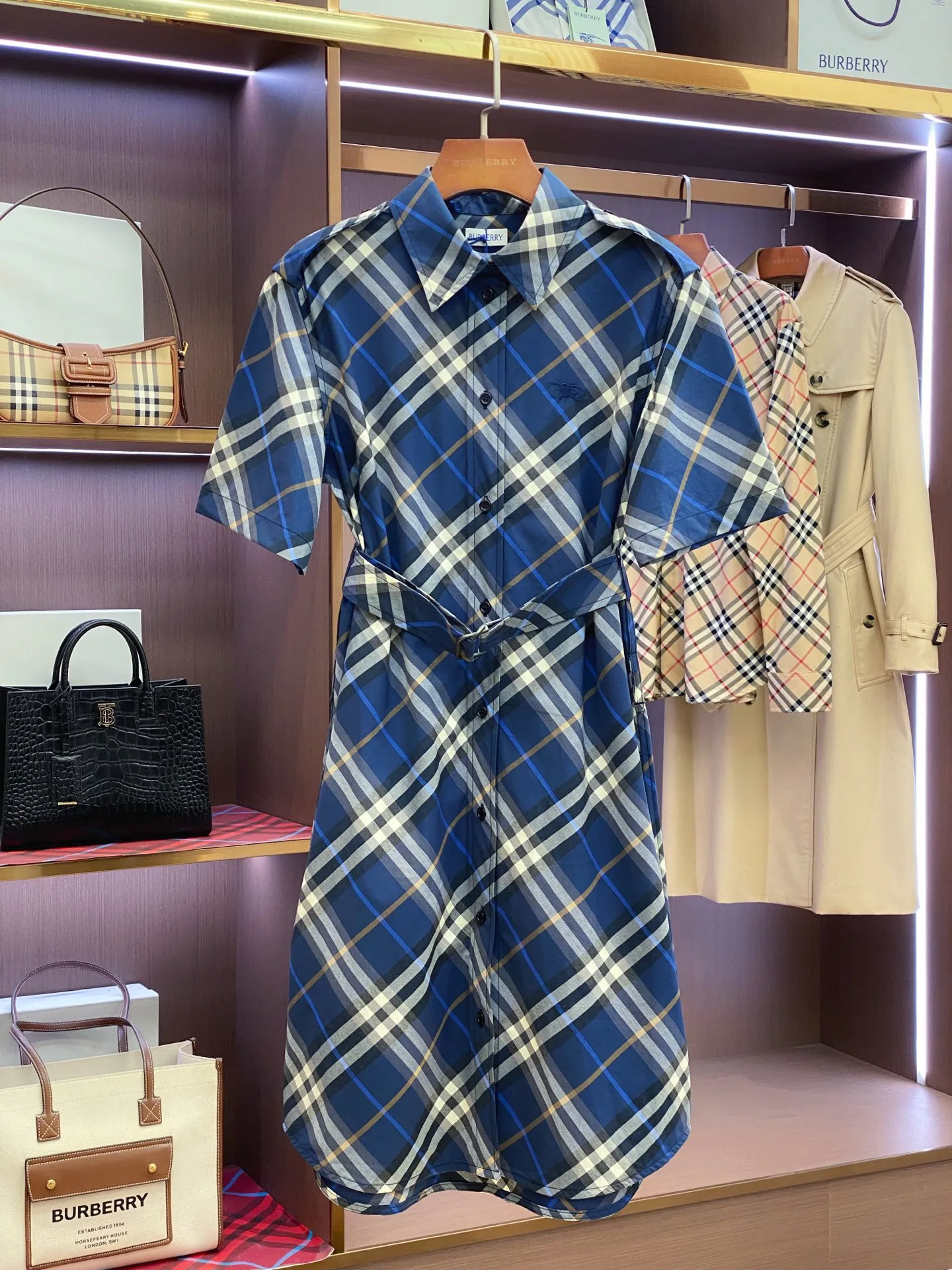 Women's Dresses BURBERRY 17361070