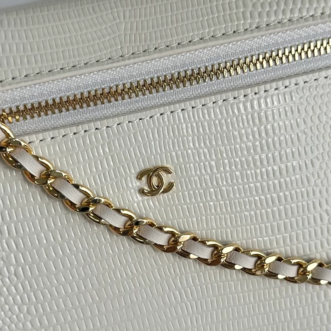 Women's Classic Handbags CHANEL 18338069