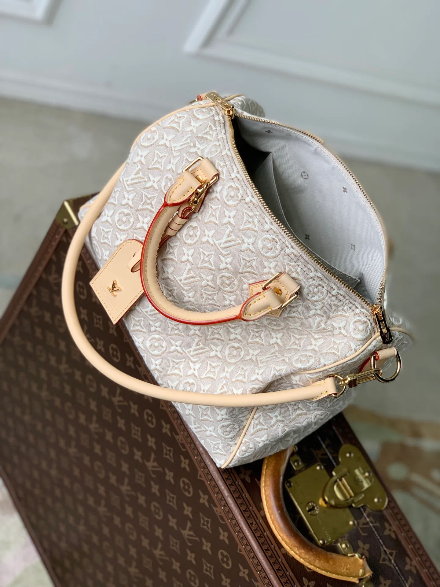Women's Classic Handbags LOUIS VUITTON 17806371